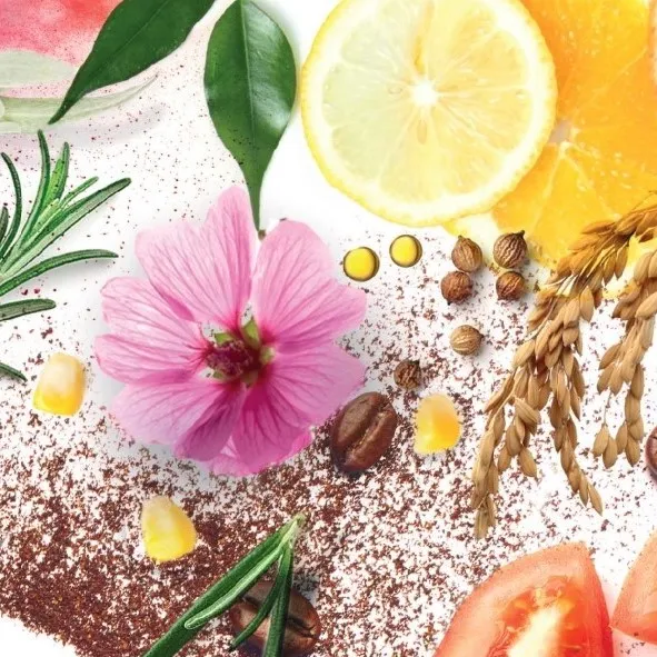 Composition d'ingrédients naturels cosmétiques : fleur rose, citron, graines, épis de blé sur fond blanc poudreux