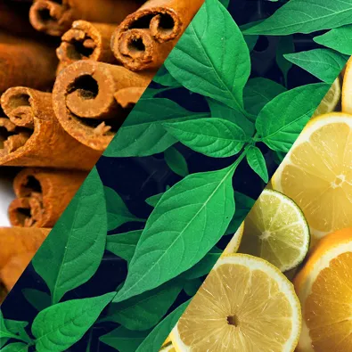Ingrédients naturels : bâtons de cannelle, feuilles vertes et tranches de citron pour parfumerie et cosmétique