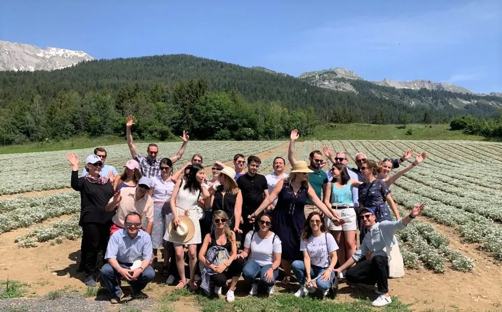 Group of professionals visiting a lavender plantation in the French Alps, mountain in the background
