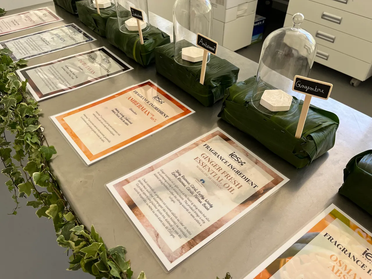 Certificats de fragrances et ingrédients cosmétiques IES exposés avec échantillons sous cloches de verre