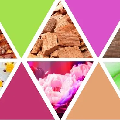 Mosaïque triangulaire d'ingrédients naturels : copeaux de bois, fleurs roses, matières premières cosmétiques