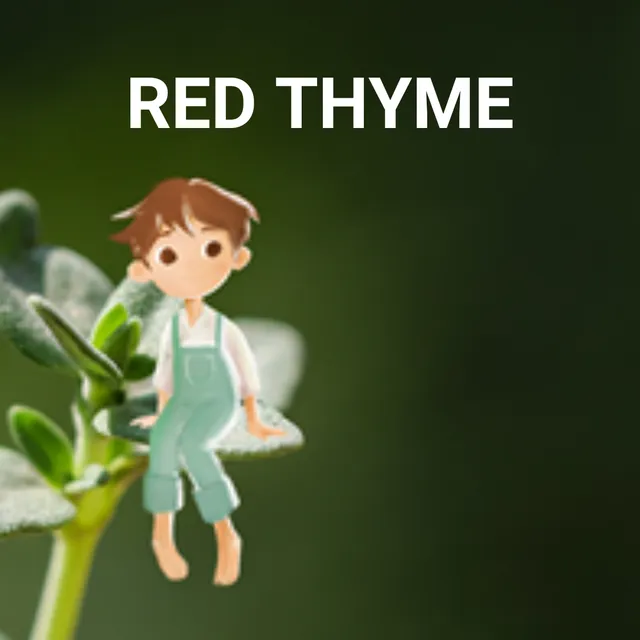20.png